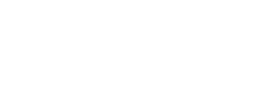PUNX_WebLogos_0005_BDO-Logo.png
