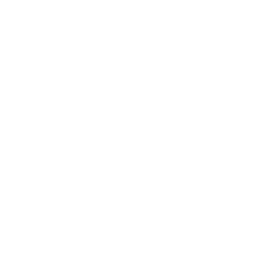PUNX_WebLogos_0011_Sm-Logo.png