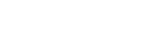 PUNX_WebLogos_0016_Globe-Plat-Logo.png